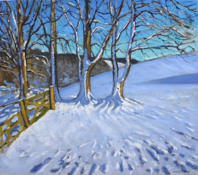 Gate and Trees, Winter, Dam Lane, Derbyshire, 2013 by Andrew Macara